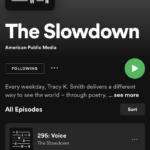 My poem “Voice” is featured on The Slowdown